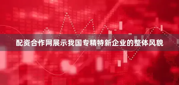 配资合作网展示我国专精特新企业的整体风貌
